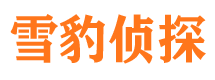 陇县外遇出轨调查取证